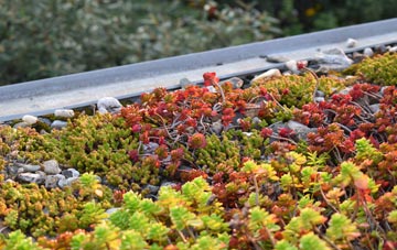 the cost of Lodge Park green roof installation