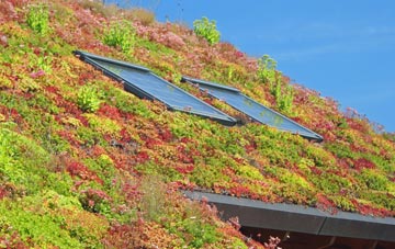 Lodge Park living roof systems
